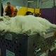 Illustration for article titled Here Are 2,000 Photos We Took At The Westminster Dog Show